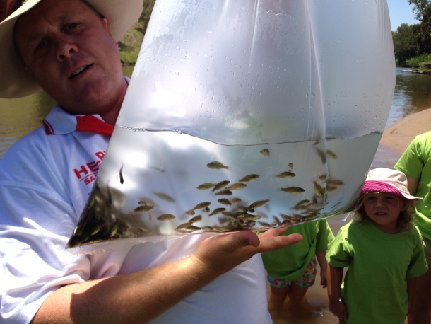 Native stocks boosted out west